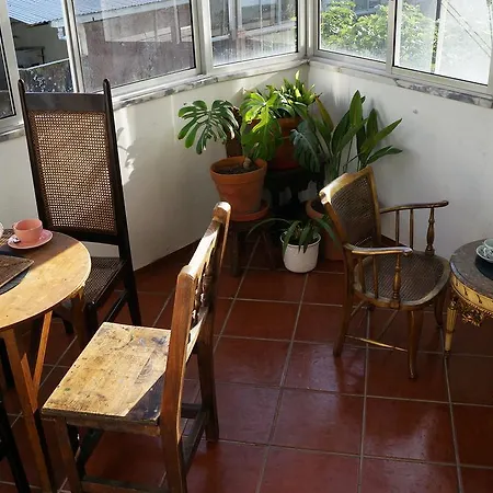 Apartment Arts House